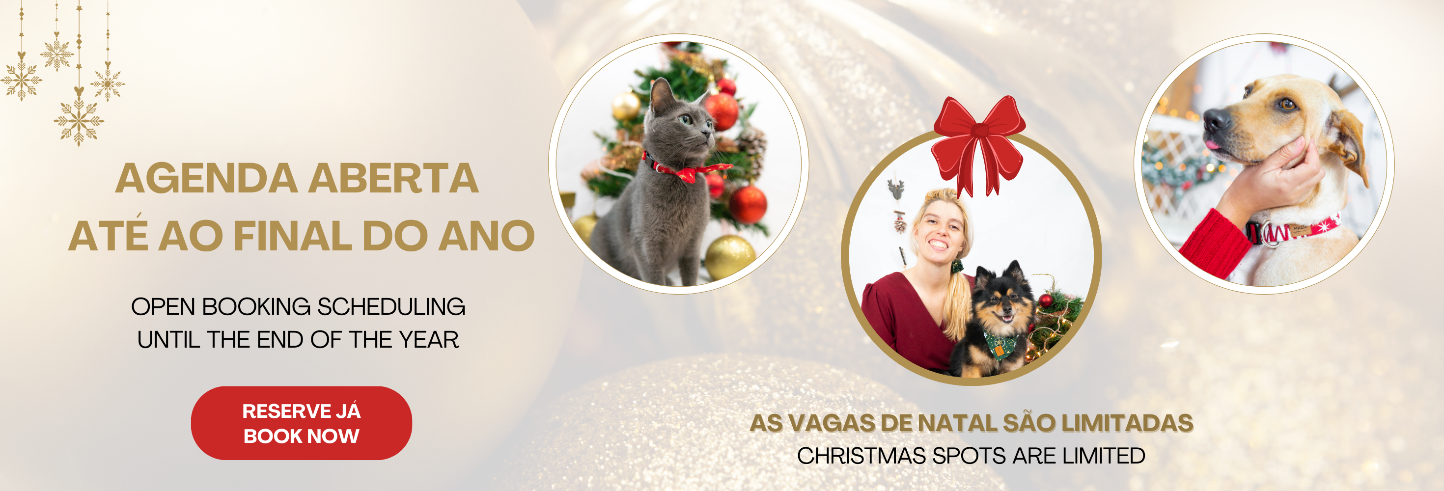 Petsitting Natal Lisboa vagas abertas