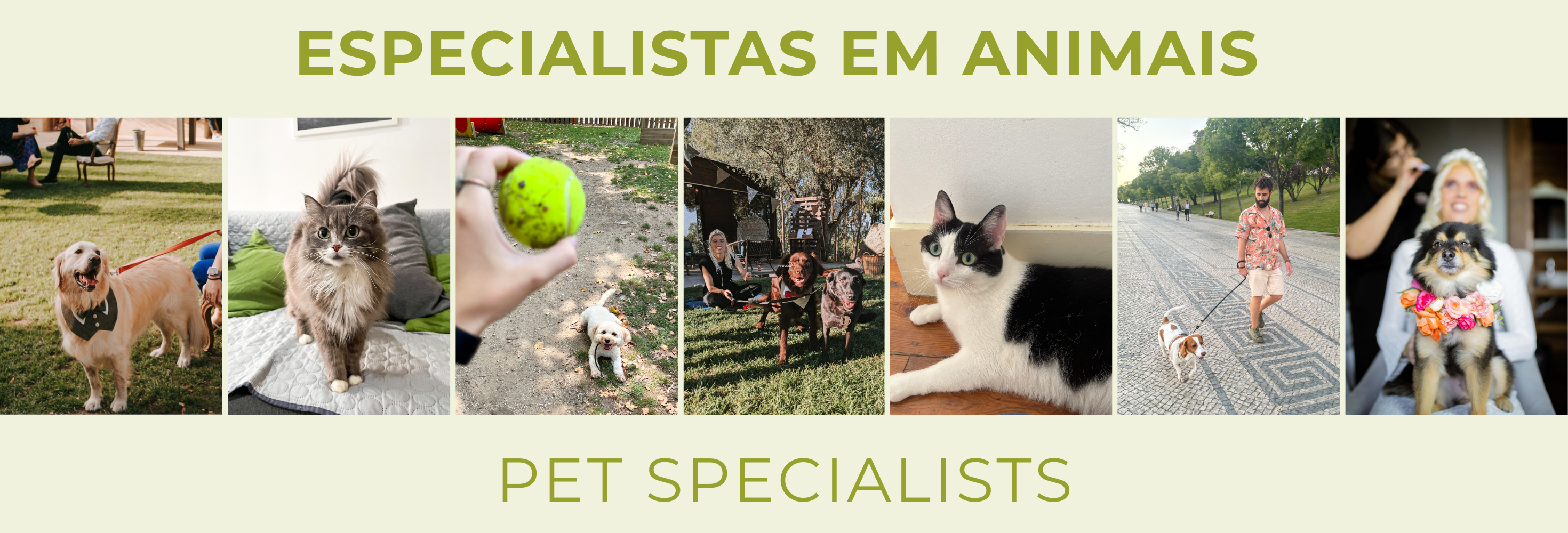 Banner Especialistas em animais