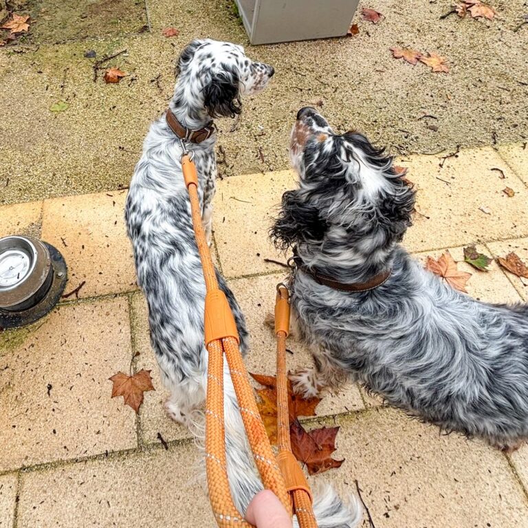 Hera e Zeus