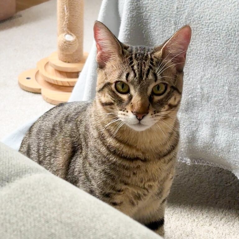 Rupert