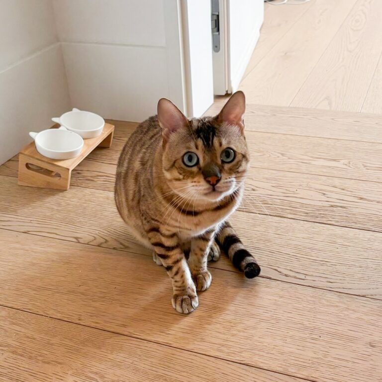 Sophie